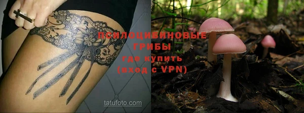 герыч Верея