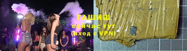 сатива Бородино