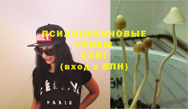 сатива Бородино