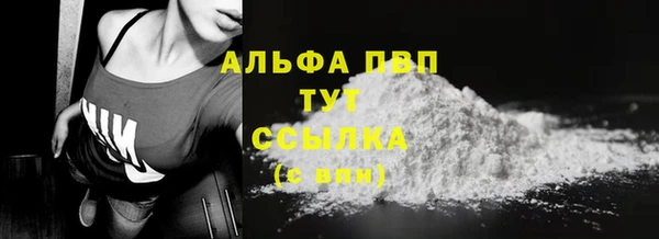 спиды Богородицк