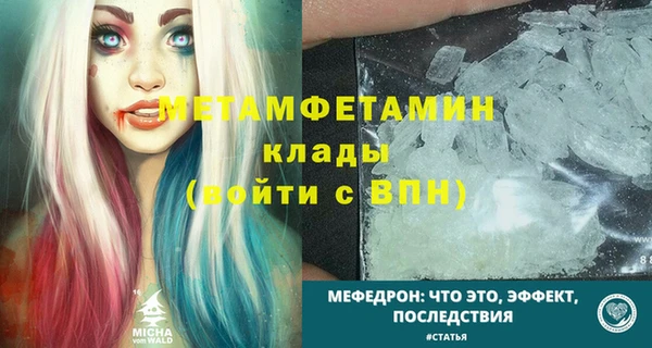 сатива Бородино