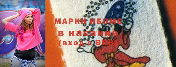 сатива Бородино