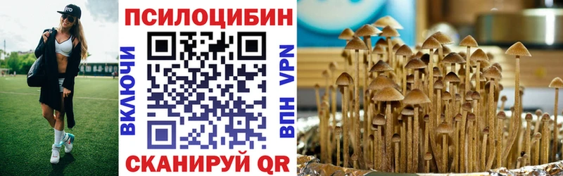 Псилоцибиновые грибы прущие грибы  как найти   Жуков 